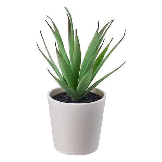 Best Ikea Plants: Succulents, Pots & Planter Stands