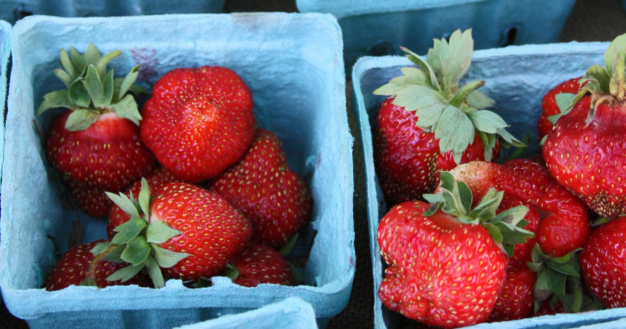 Weird Sprouted Seeds Strawberry
