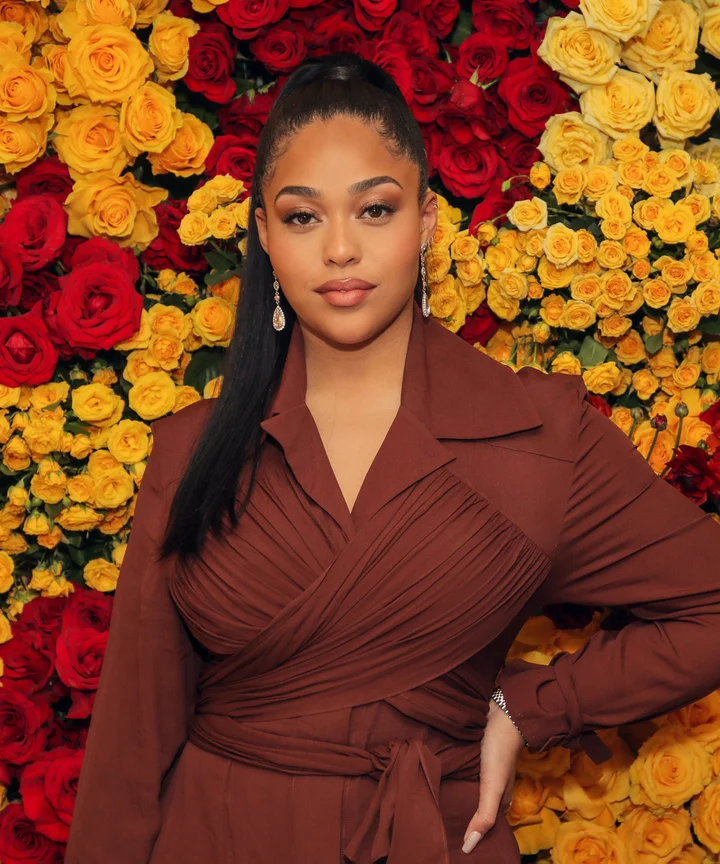 jordyn woods brown dress Noa Dress 3XL