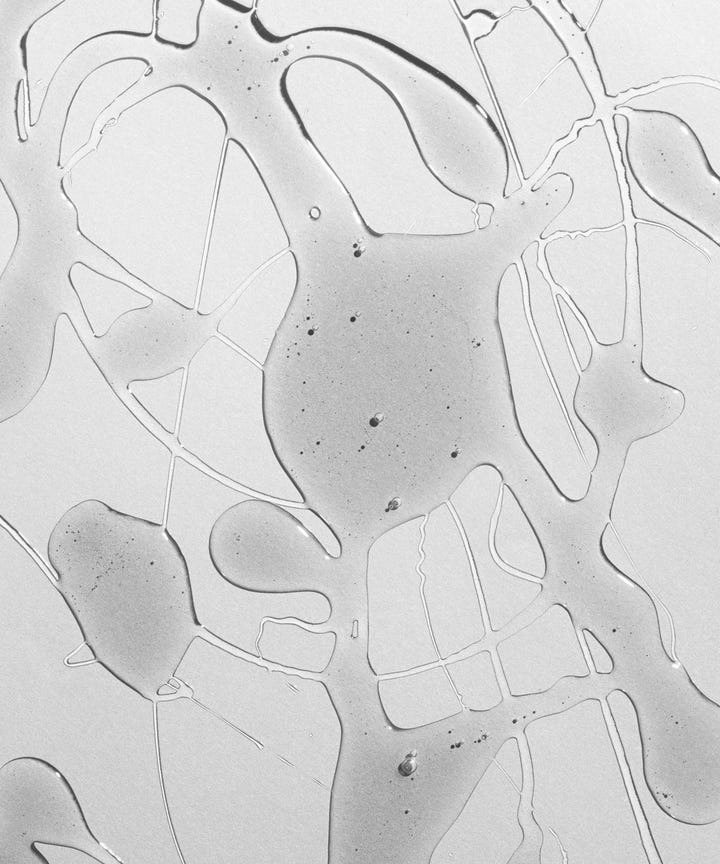 How To Use Essential Oils Beginners Guide To Wellness