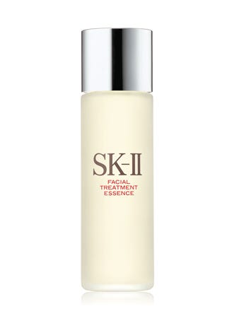 skii embed