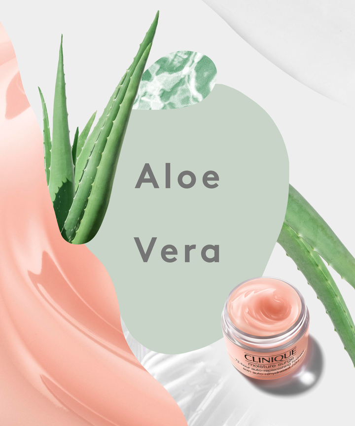 The Hydrating Skincare Benefits Of Aloe Vera