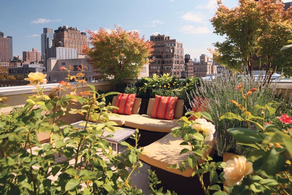 New Book, Rooftop Gardens: The Terraces, Conservatories, and