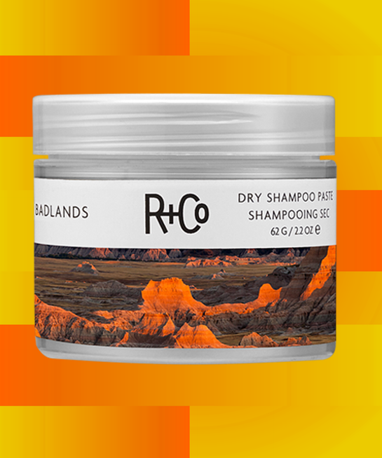 Best Dry Shampoos Sprays Powders