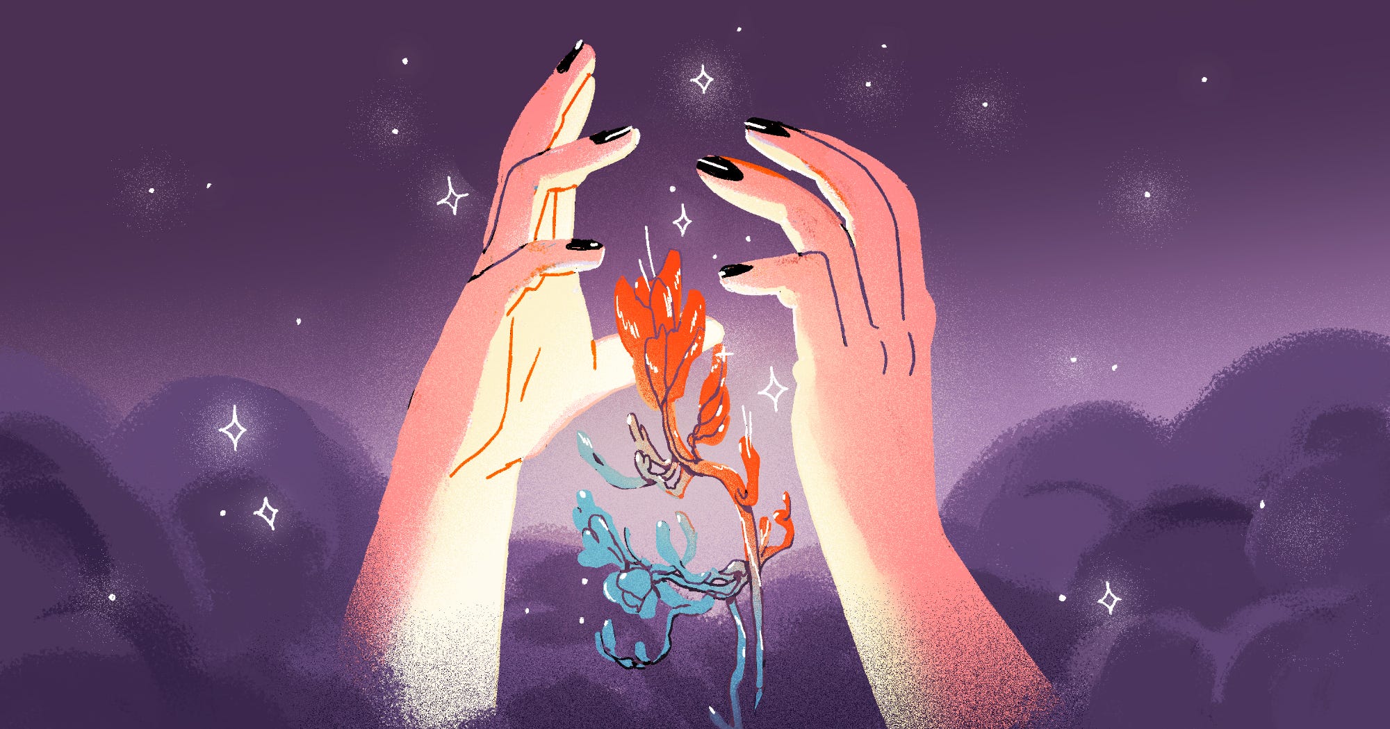 Summer Solstice Flowers And Plants For 2018 Celebration