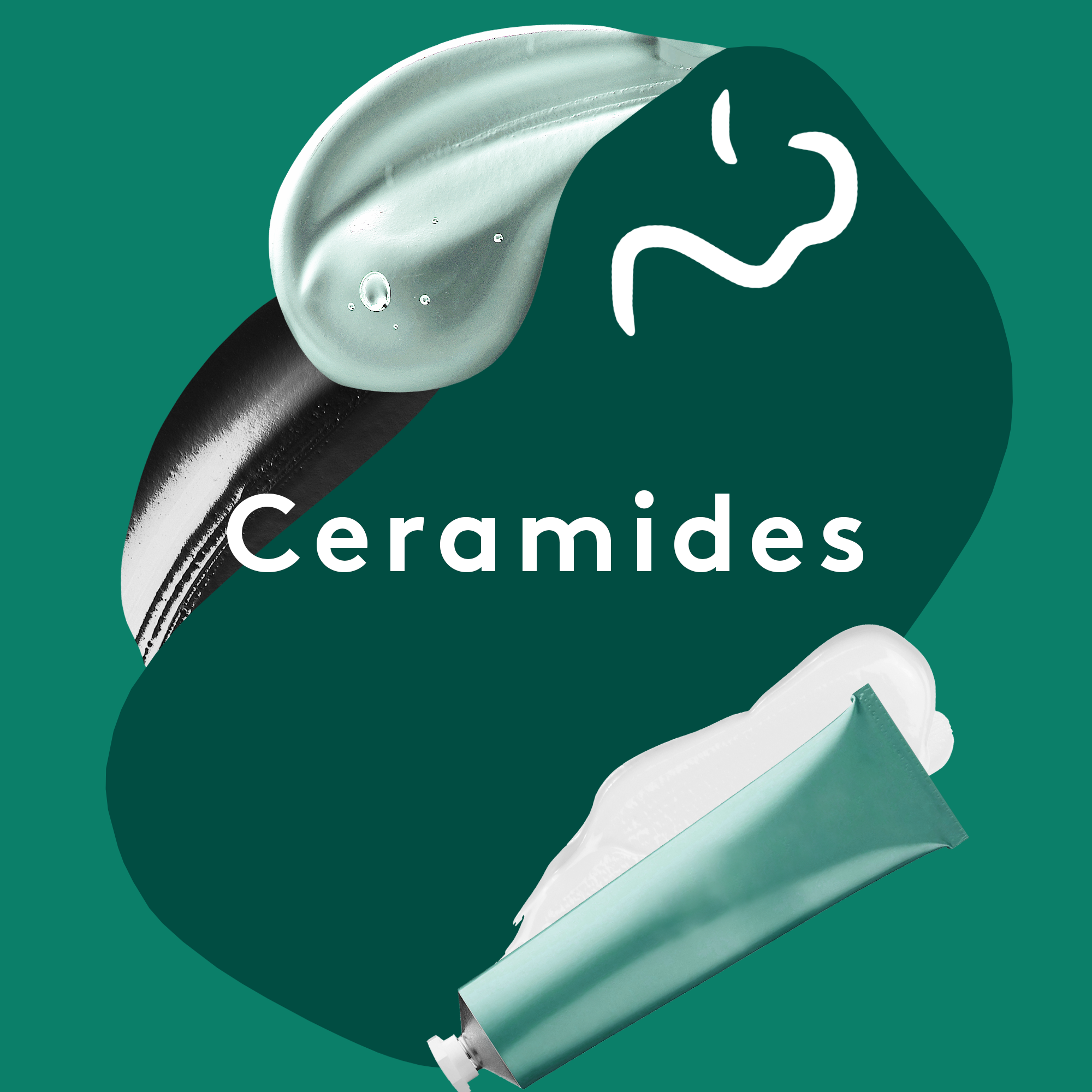 ceramides ordinary
