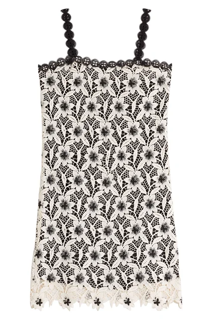 Anna Sui + Butterfly Garden Lace Mini Dress