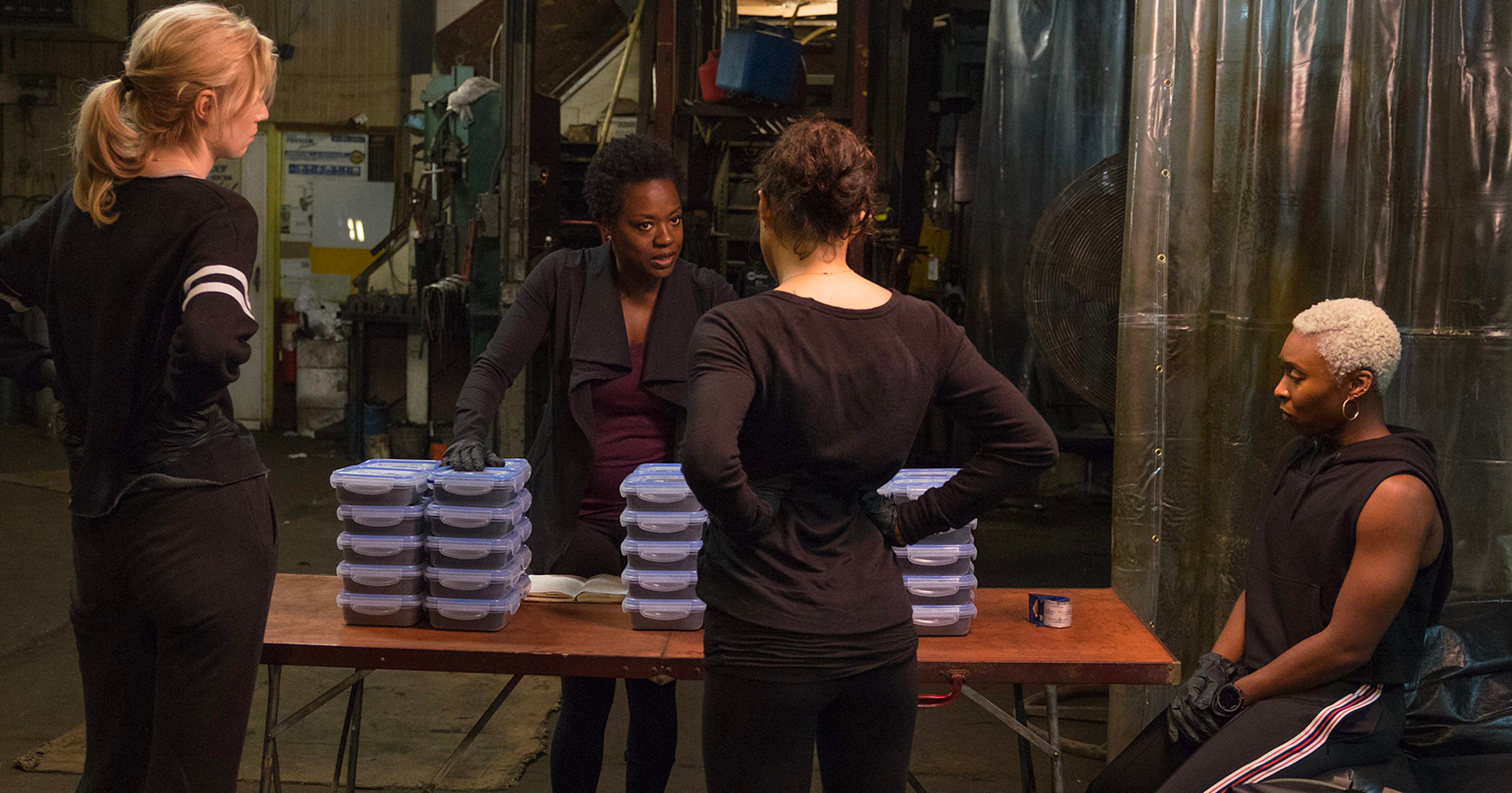 Viola Davis Adorable Dog Is The Breakout Star Of Widows