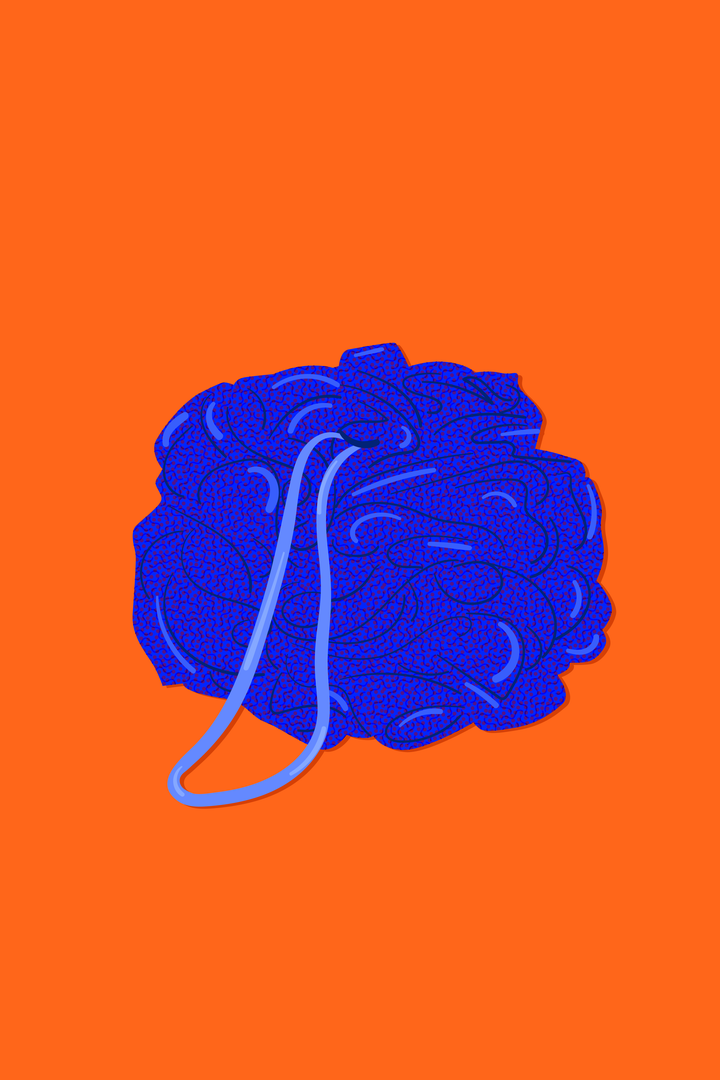 When To Throw Out Loofah, Brush, Pumice Shower Products