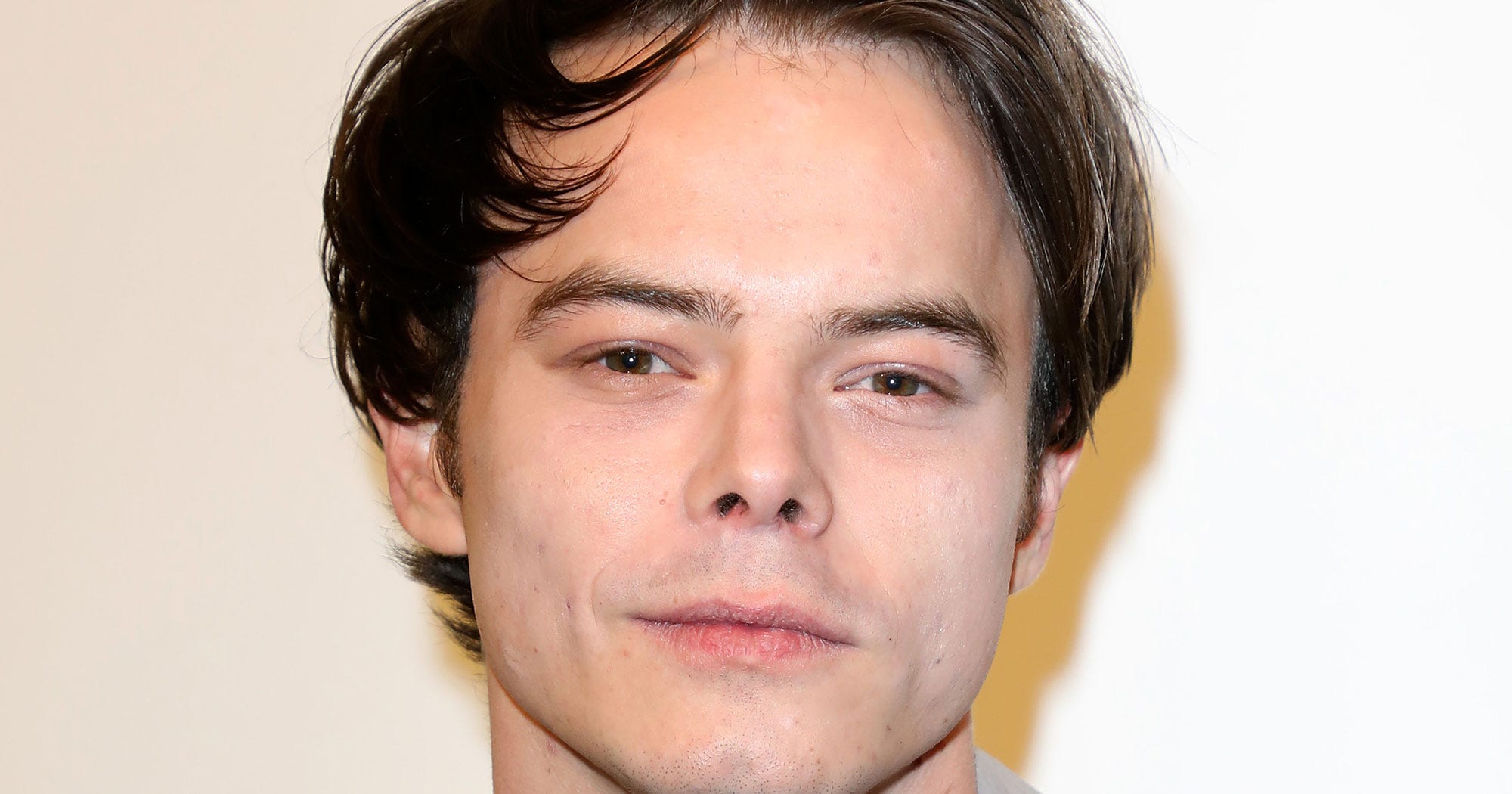 Stranger Things Charlie Heaton Drug Charges Explained