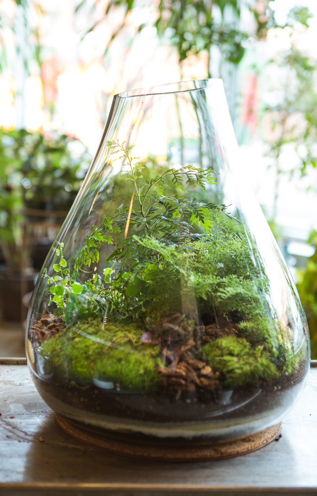 Terrarium Centerpieces