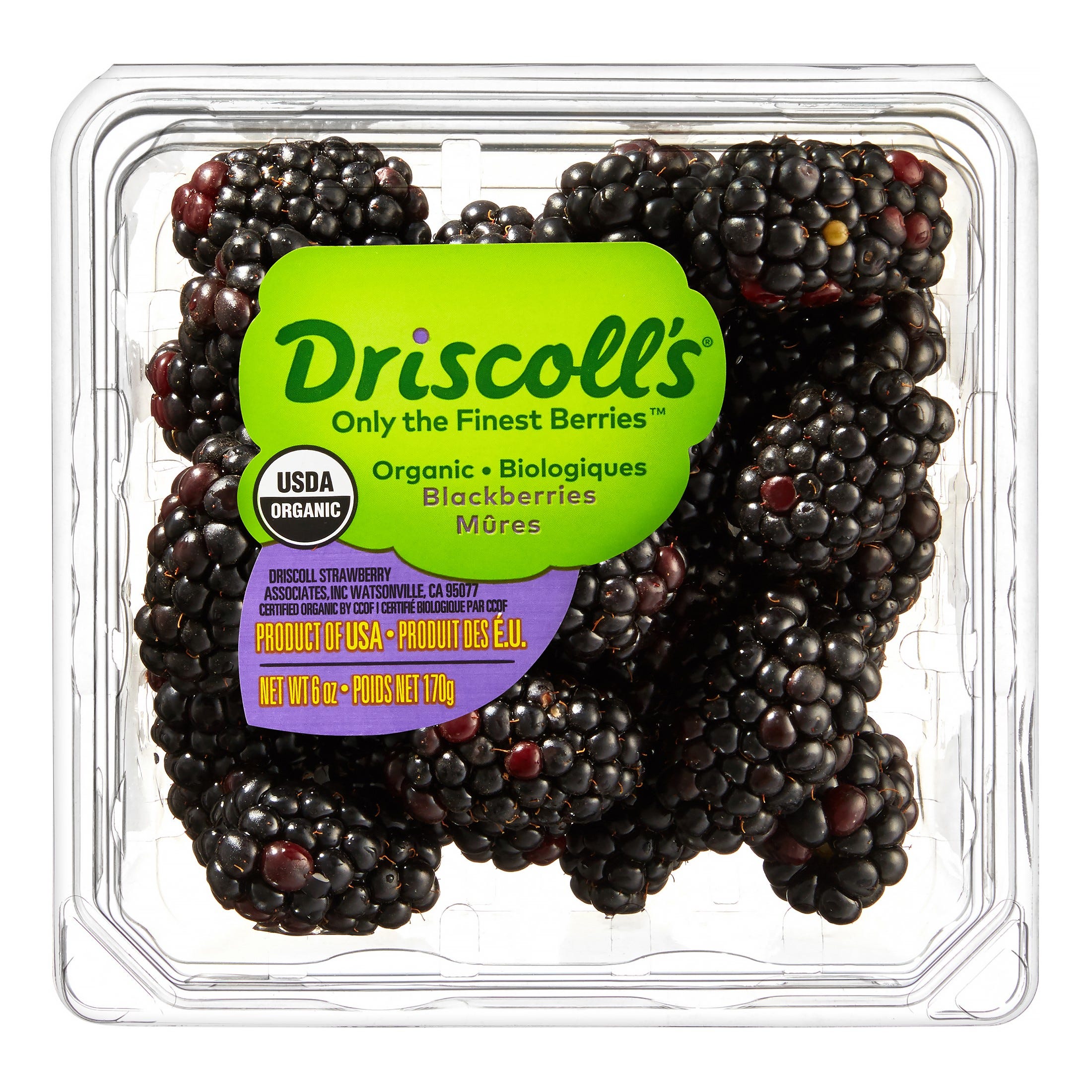 Driscoll’s + Driscoll’s Organic Blackberries, 6 Oz