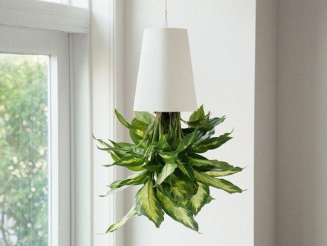 BOSKKE + Recycled Sky Planter