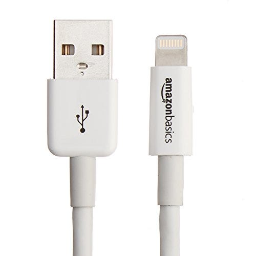 Amazon Basics + AmazonBasics Lightning to USB A Cable